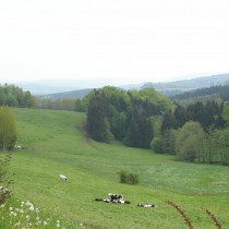 Hotel Waldesruh Blick ins Erzgebirge