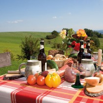 Hotel Waldesruh Picknickbank mit Blick ins Erzgebirge