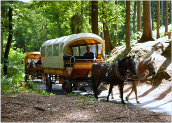 Kremserfahrten Erzgebirge